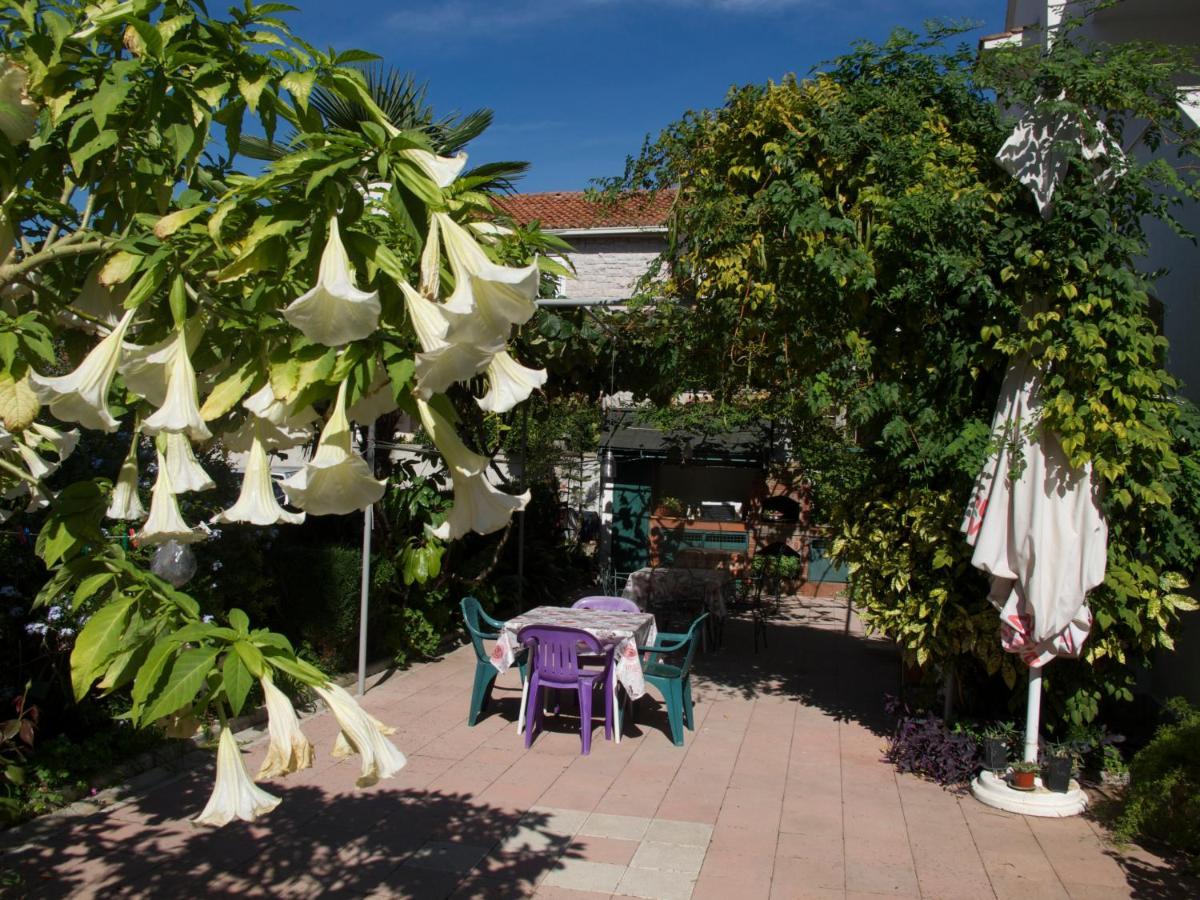 Guest house & Boskovic *